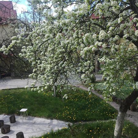 Квартира-Студия В Стиле Шале Truskavets Dış mekan fotoğraf